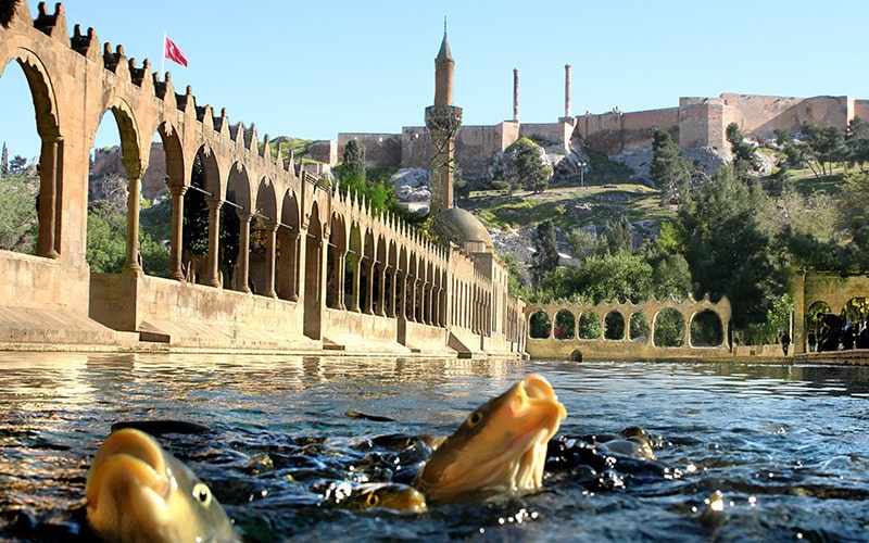 turlar
